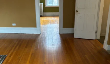 Property Cleanouts